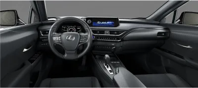 UX 300e
